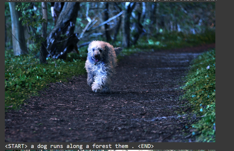 image-captioning-transformer